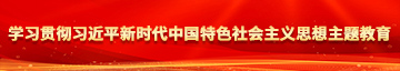 骚女人日逼网学习贯彻习近平新时代中国特色社会主义思想主题教育